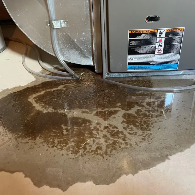 Pipe Burst and Leak Restoration in Sandia Heights, NM
